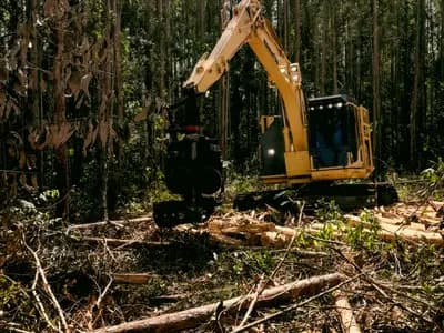 Land Clearing Services Seattle in Seattle